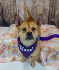 Wanda - Photo 5