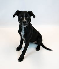 Korra - Photo 2