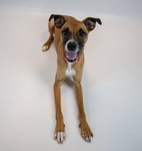 Nora - Photo 6