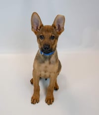 Malachi - Photo 3