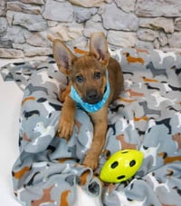 Malachi - Photo 6