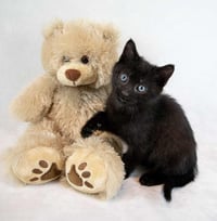 Hugo - Photo 3