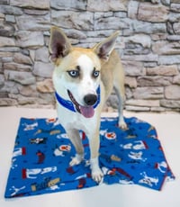 Callahan - Photo 4