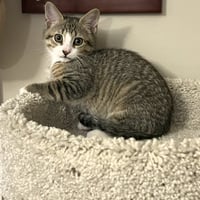 Jager Lee - Photo 3