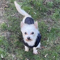 Milton - Photo 2