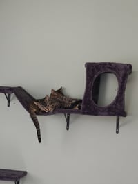 Cleo - Photo 4