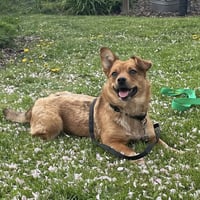 Betsy - Photo 2