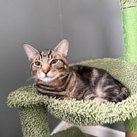 Whiskey & Bourbon - Photo 3