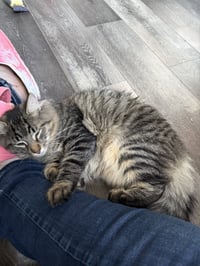 Whiskey & Bourbon - Photo 4