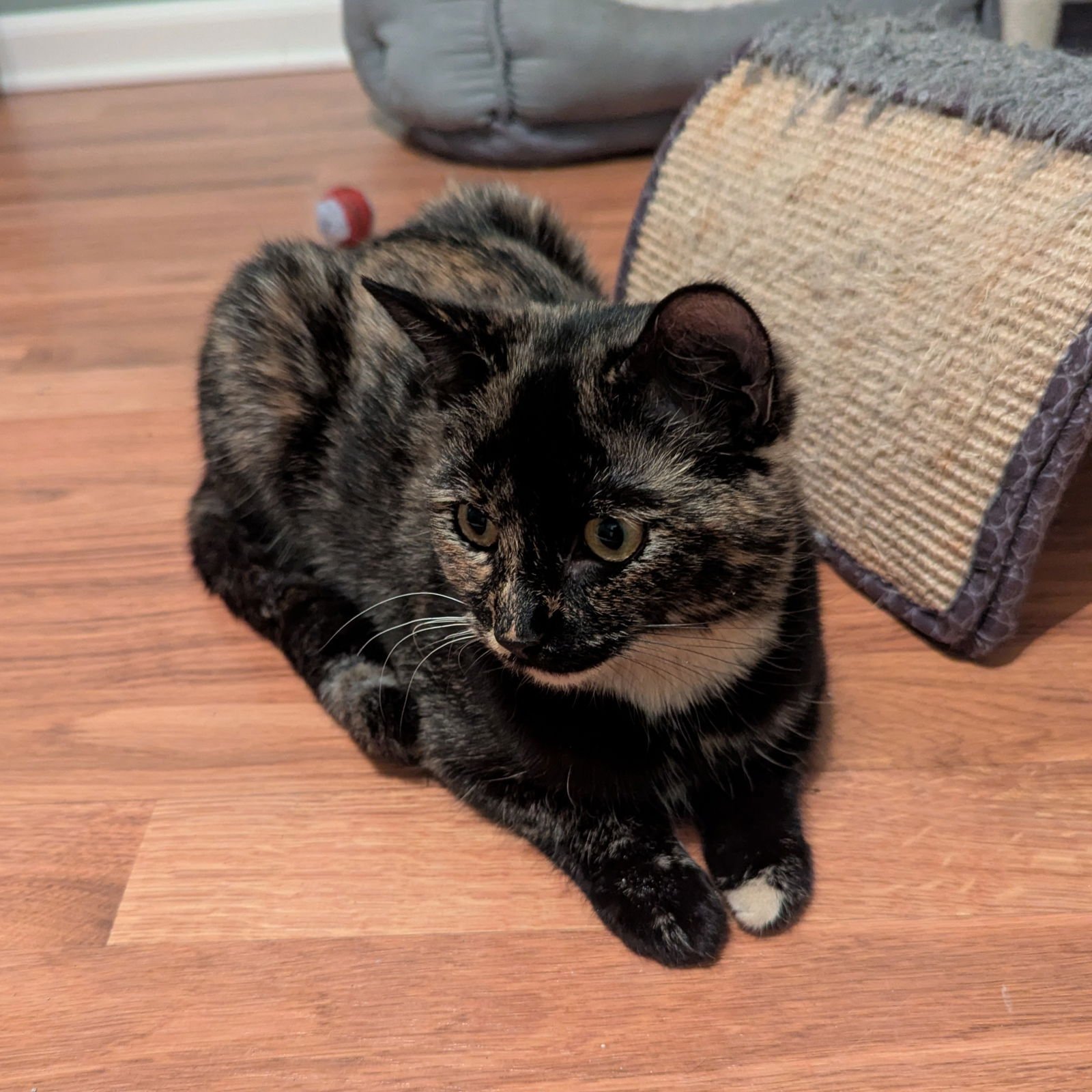 Barbara Ann - Photo 4