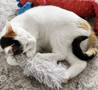 Pretzel & Bagel - Photo 4