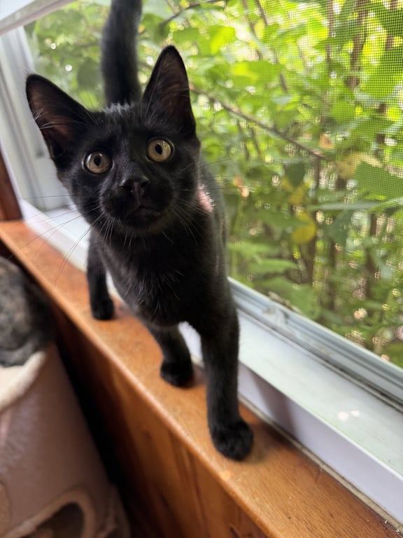 Gary Image