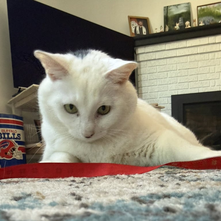 Otis Image