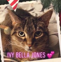 Ivy Bella Jones - Photo 4