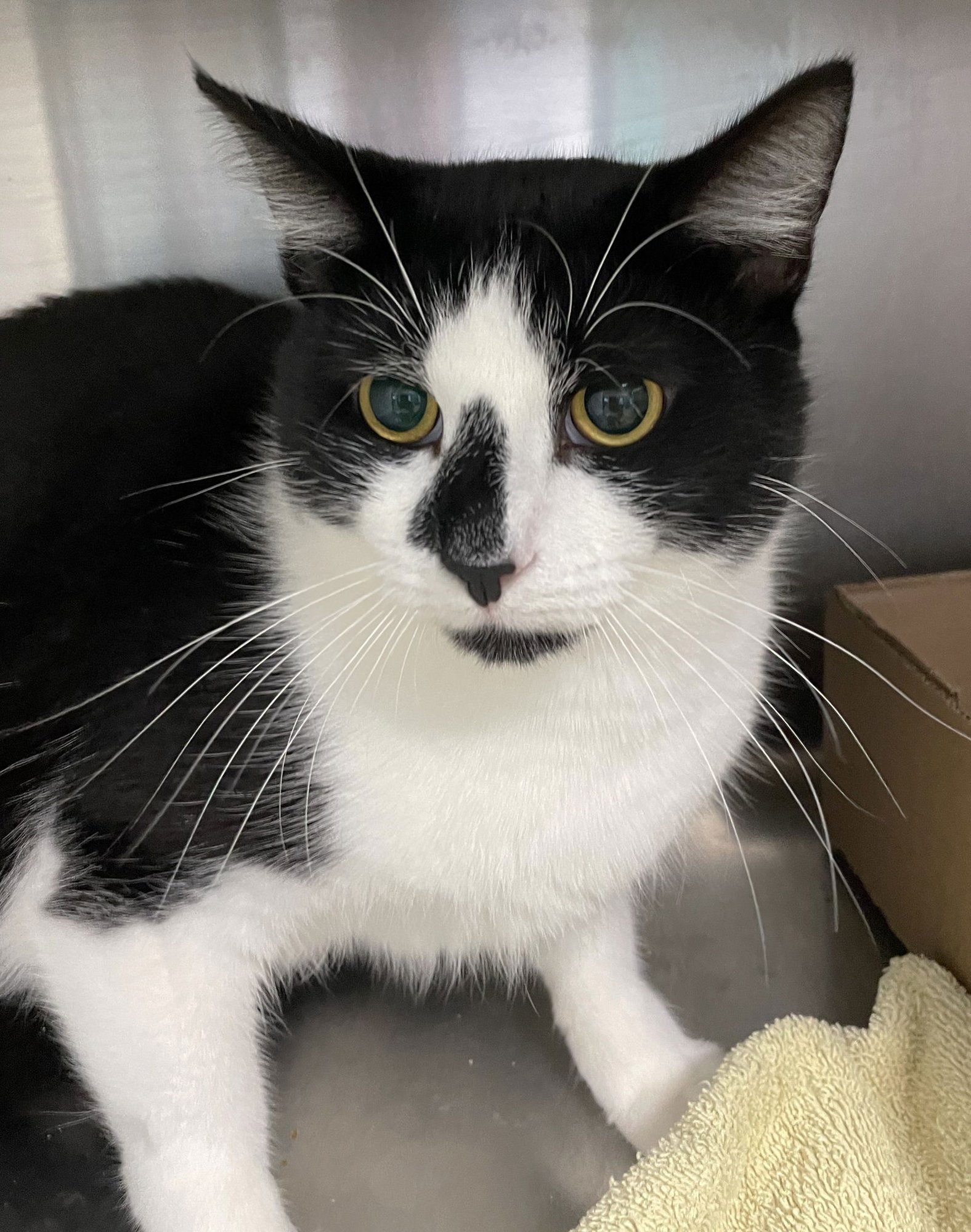 Jason Voorhees - Photo 4