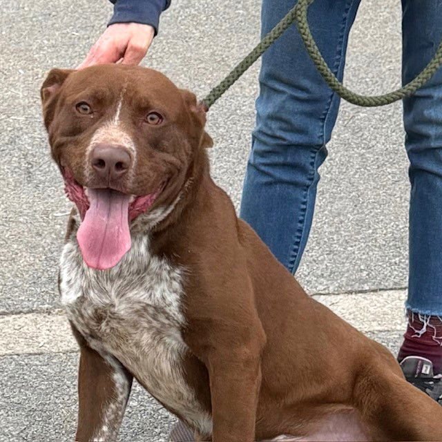 Beetlejuice - Photo 3