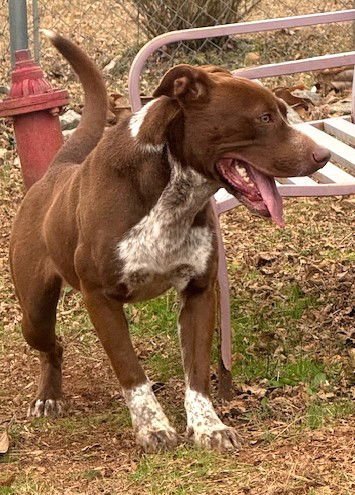 Beetlejuice - Photo 4