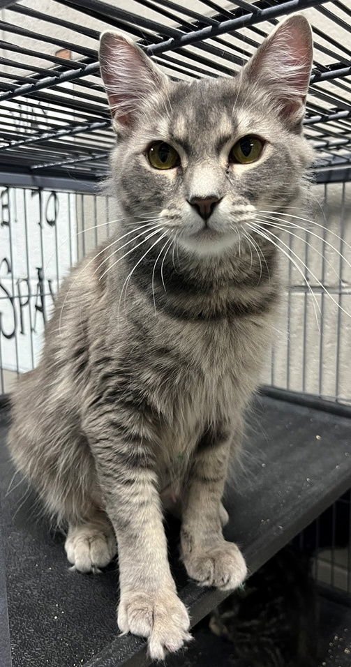 Mrs. Parker - Photo 3