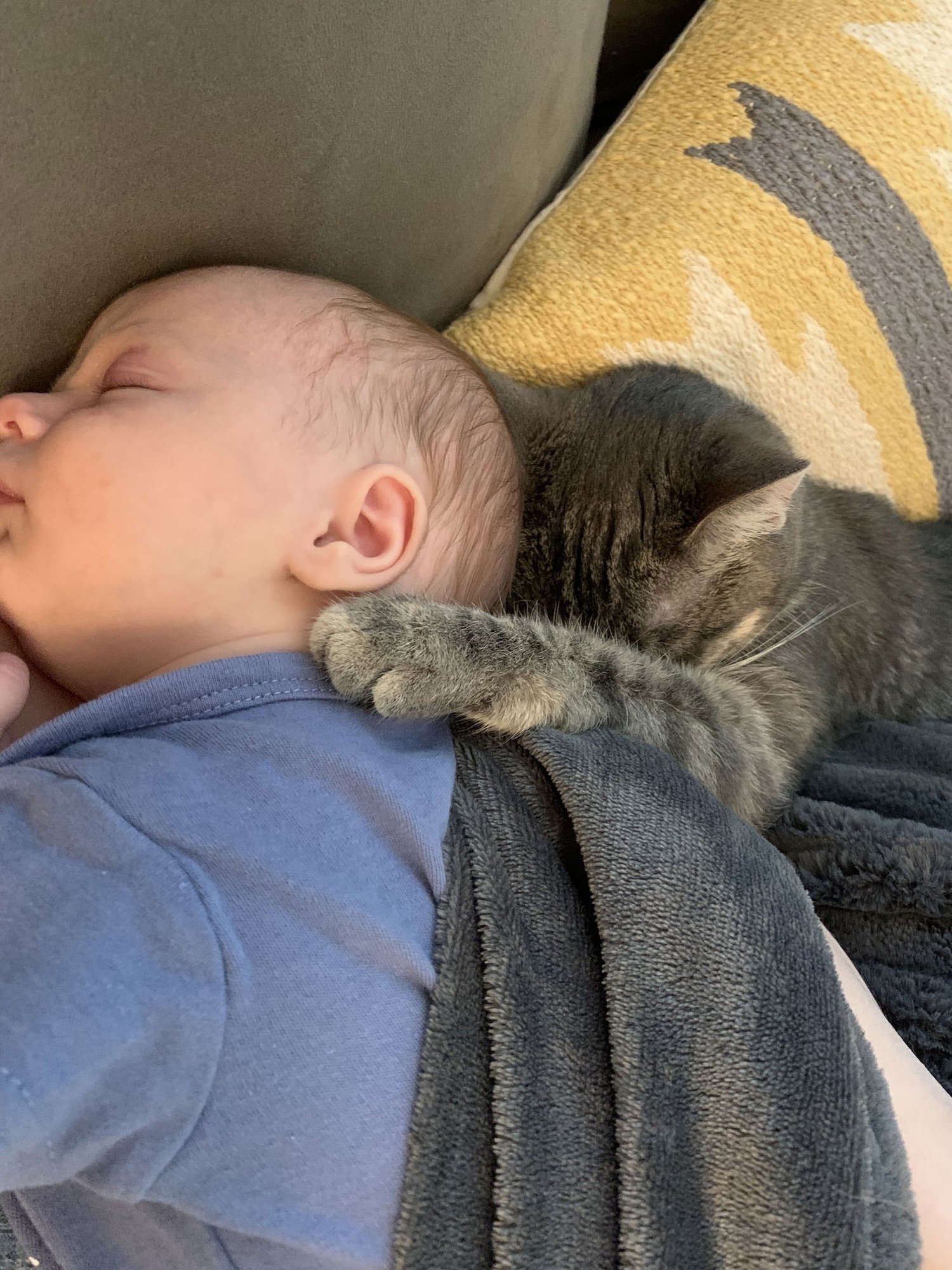 zz "Cleo" courtesy listing - Photo 3