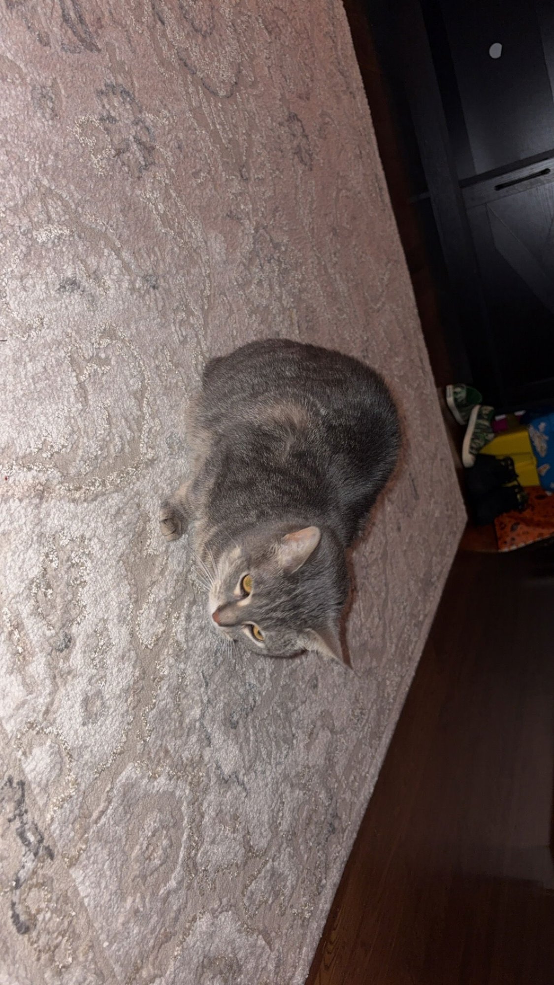 zz "Cleo" courtesy listing - Photo 5