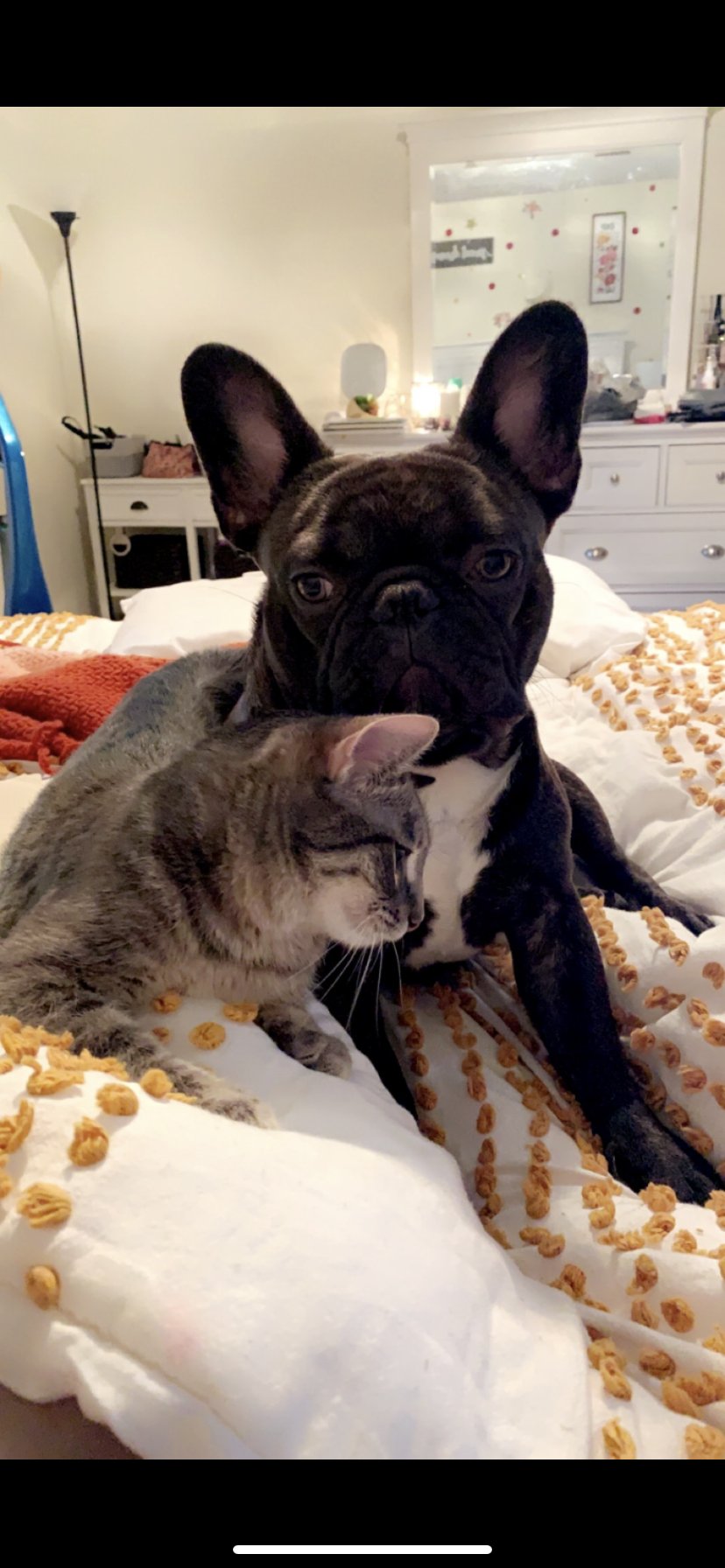 zz "Cleo" courtesy listing - Photo 6