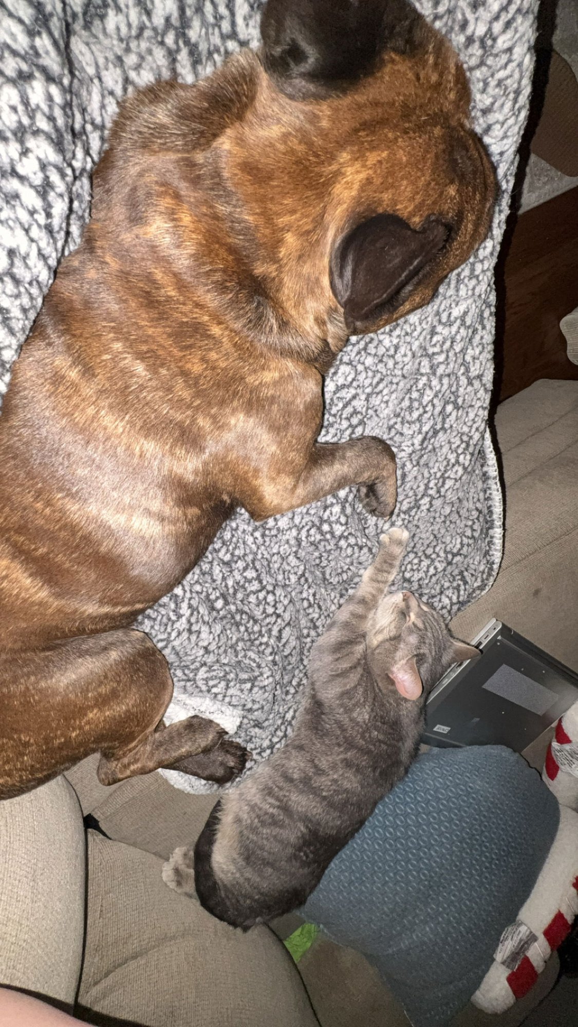 zz "Cleo" courtesy listing - Photo 7