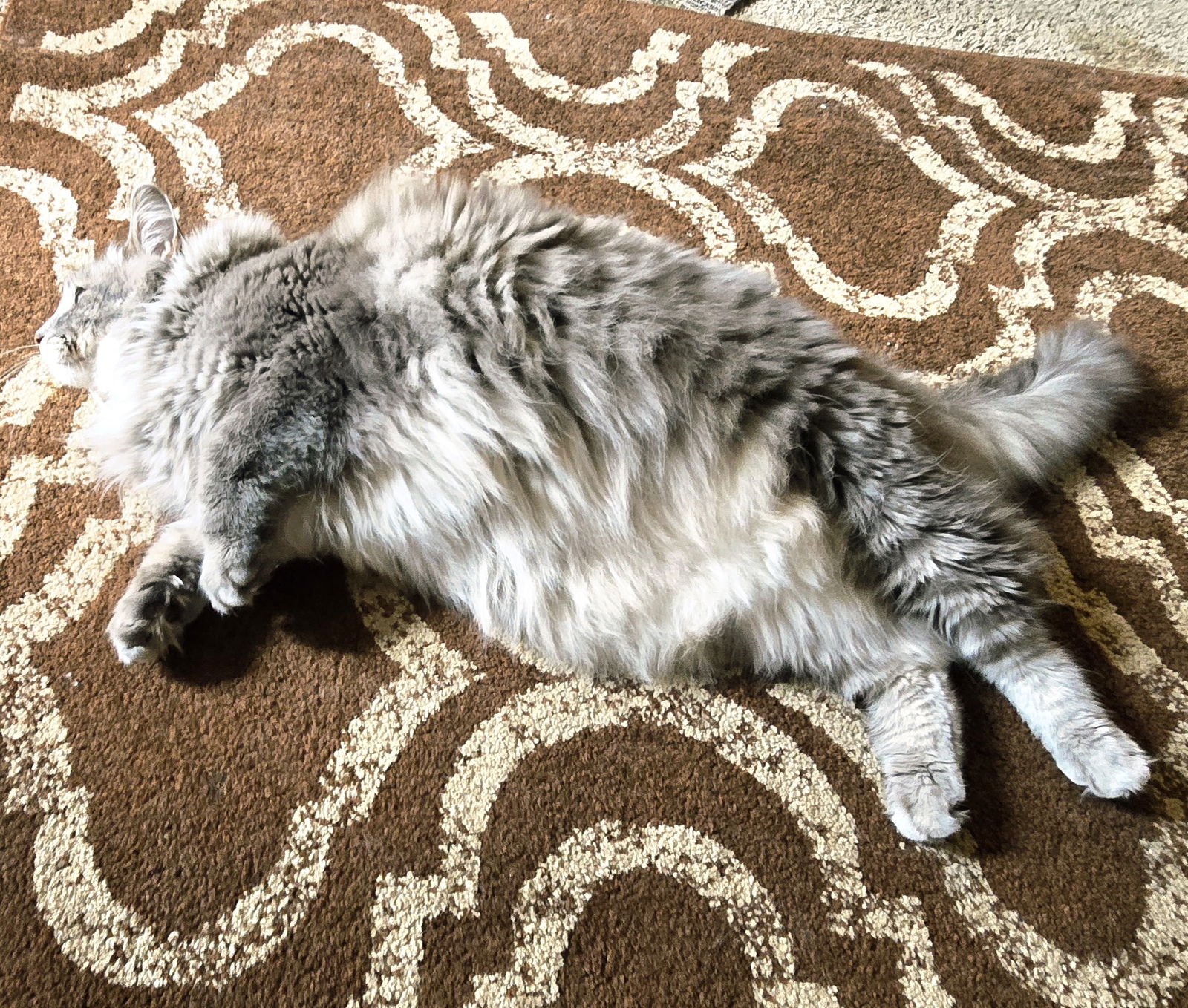 zz "Smokey" courtesy listing - Photo 4