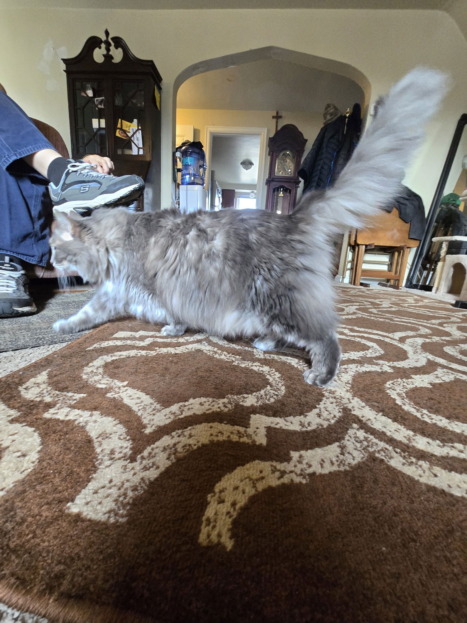 zz "Smokey" courtesy listing - Photo 5