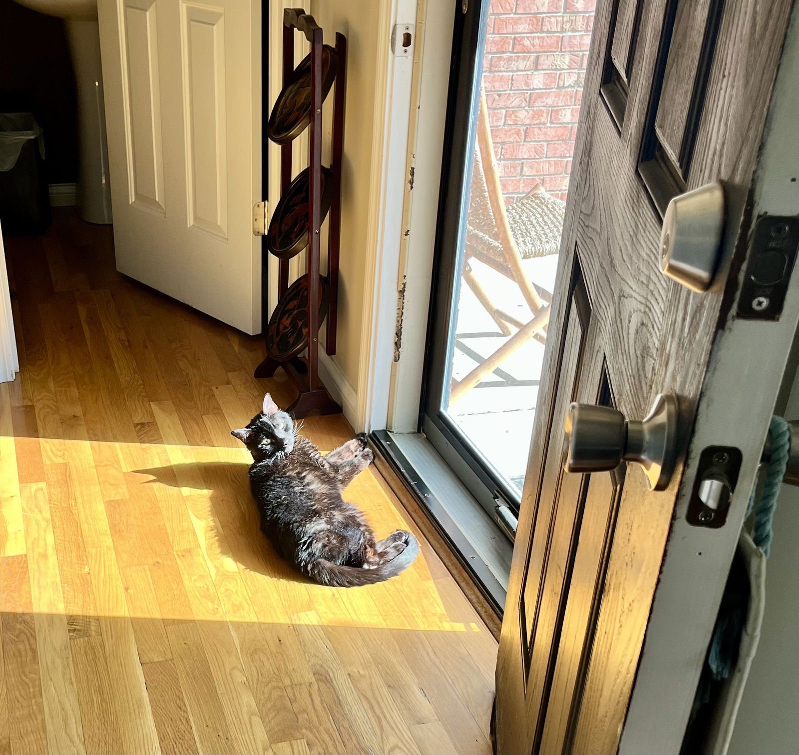 zz "Zazu" courtesy listing - Photo 4