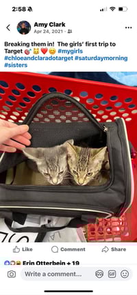 zz "Chloe and Clara" courtesy listing - Photo 3