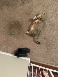 zz "Cleo" courtesy listing - Photo 3