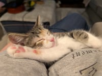 Libby - Photo 4