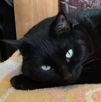 Zora - Photo 3
