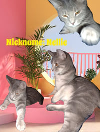 zz "Nellie" courtesy post - Photo 4