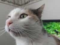 zz "Bunny" courtesy listing - Photo 2