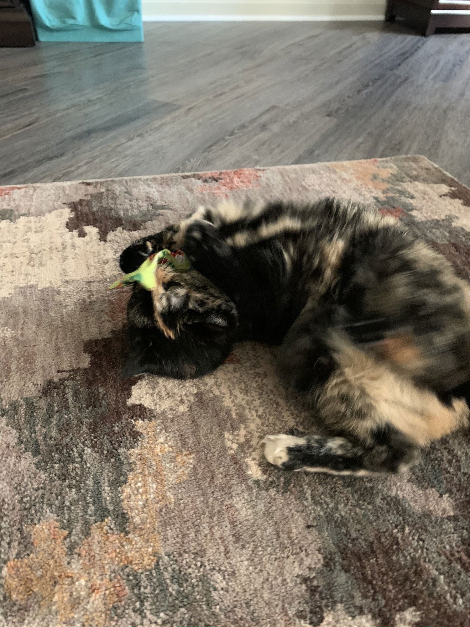 Sparkly Girl - Photo 4