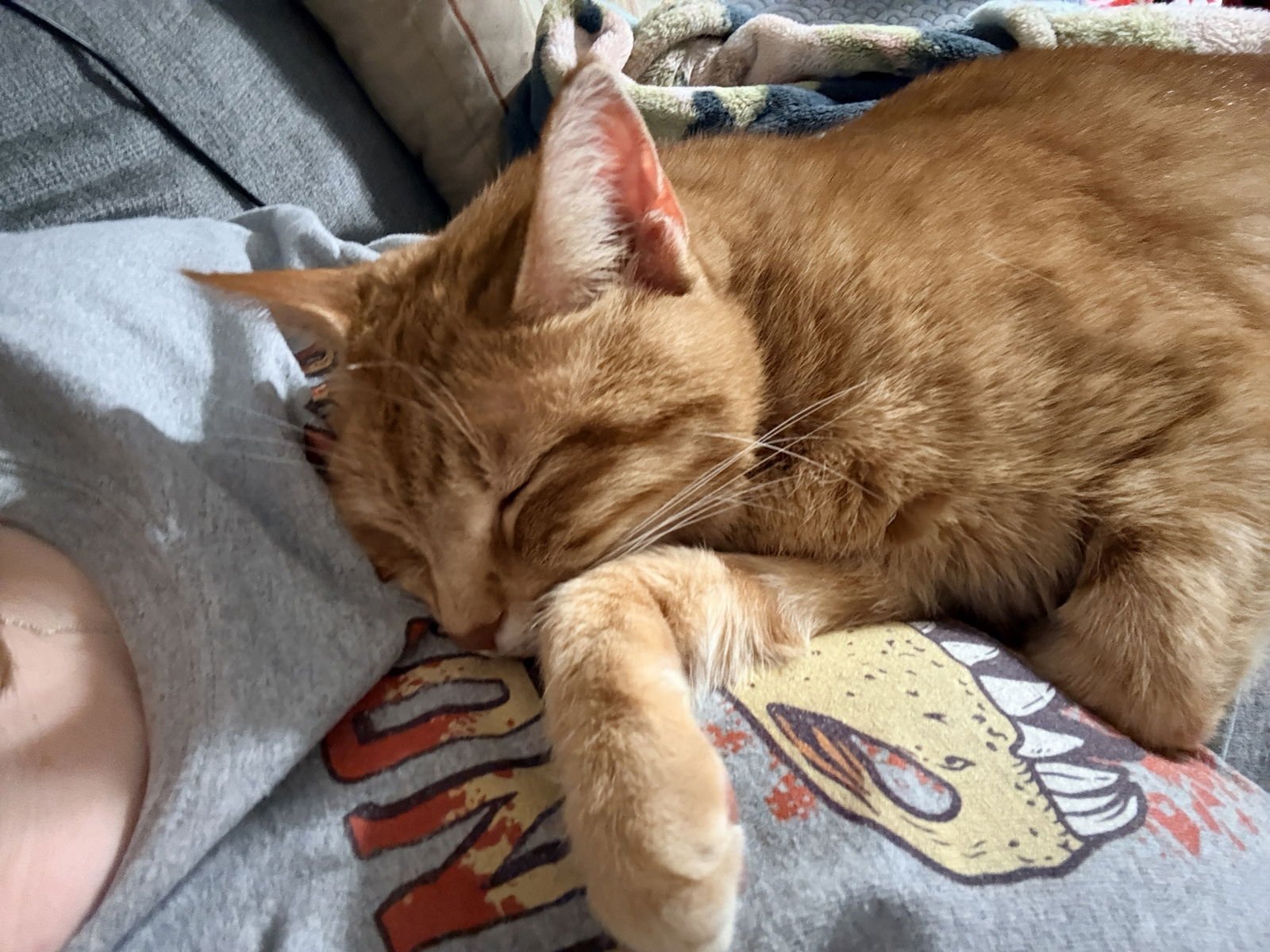 zz "Bisquetta" courtesy listing - Photo 3