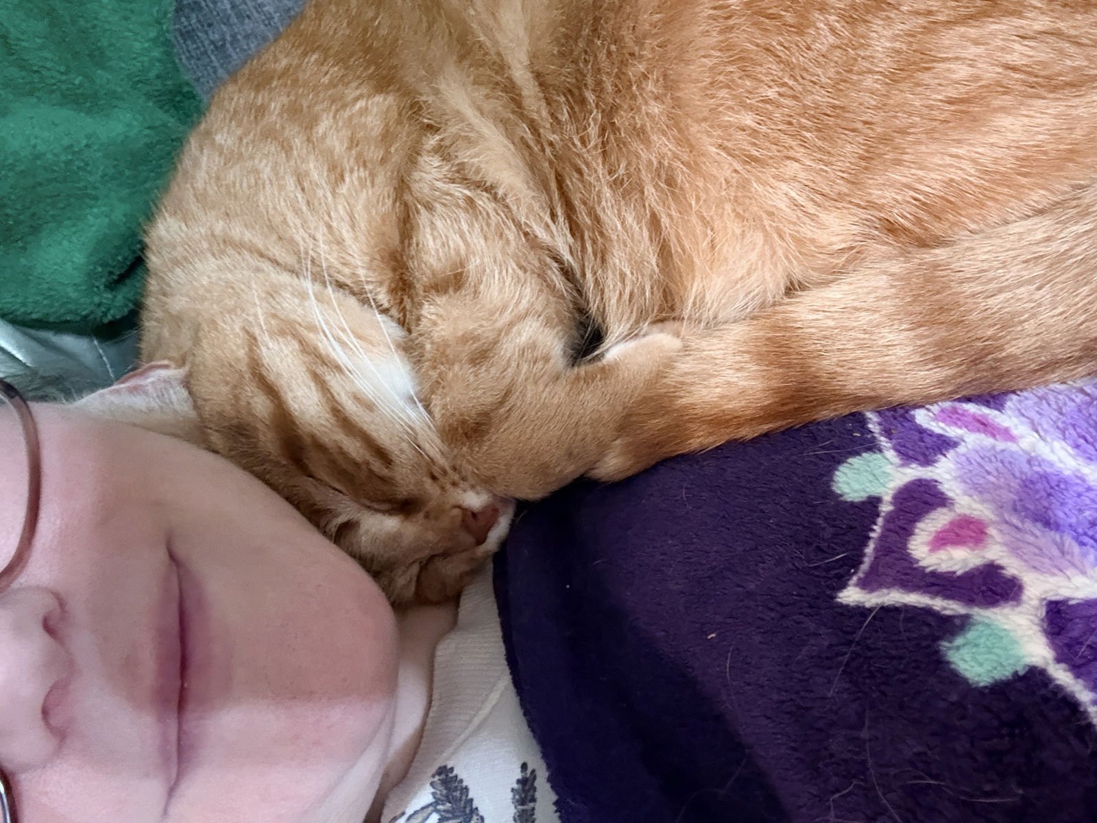 zz "Bisquetta" courtesy listing - Photo 5