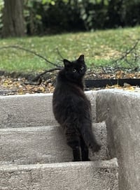 zz "Ethel" courtesy listing - Photo 3