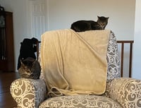 zz "Rikki and Lucy" courtesy listing - Photo 1