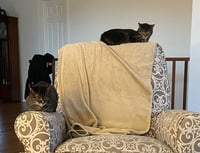 zz "Lucy and Rikki" courtesy listing - Photo 1