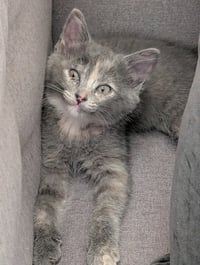 Buffalo Trace - Photo 2