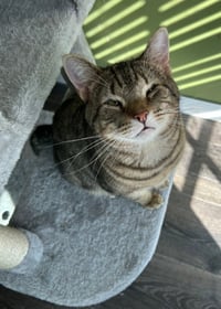 Buddy - Photo 2