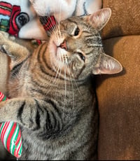 Buddy - Photo 3