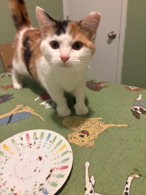 zz "Jeannie" courtesy listing - Photo 3