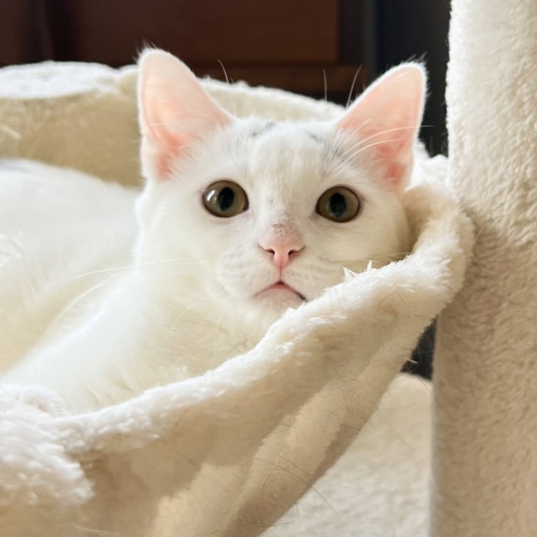 Eek! Image