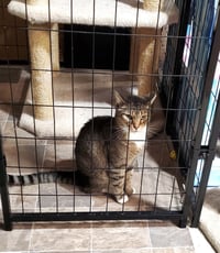 Roscoe - Photo 4