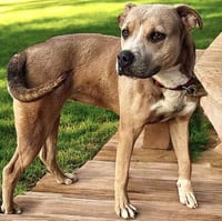 Sandee - Photo 4