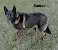 Samantha - Photo 2