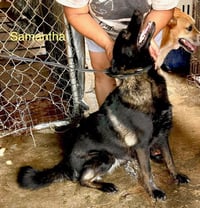 Samantha - Photo 3